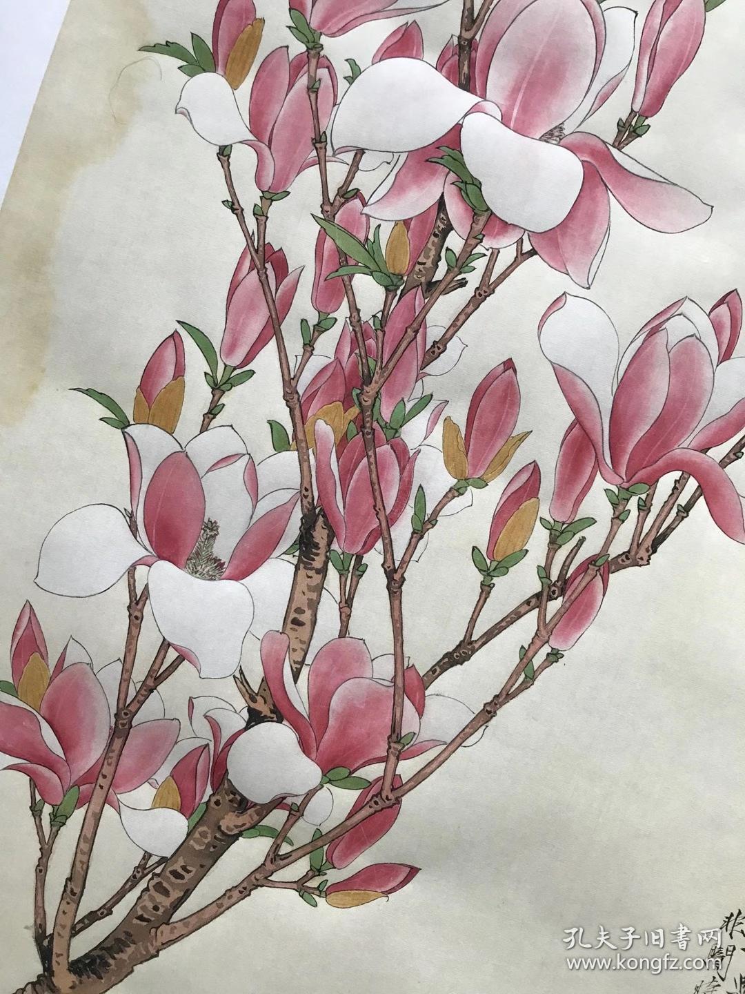 于非闇辛夷花图尺寸527312864厘米艺术微喷