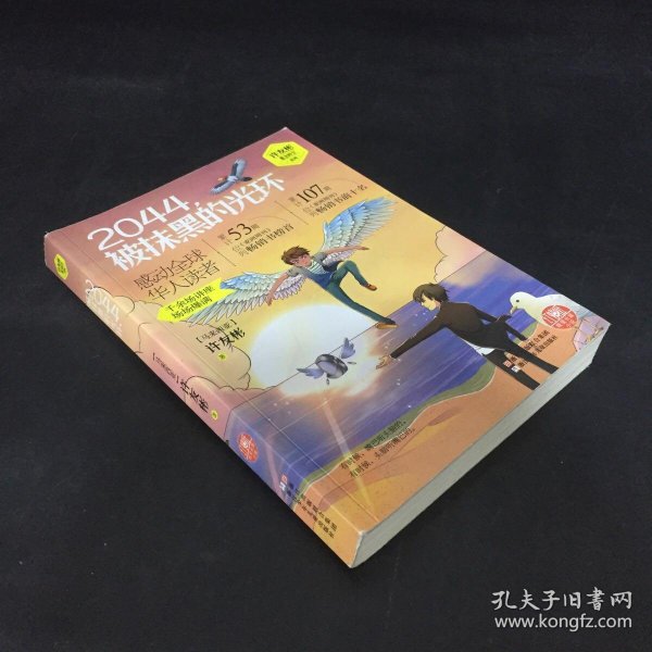 许友彬悬念时空系列:2044被抹黑的光环