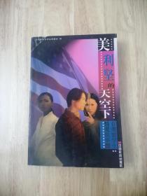 美利坚的天空下：在美留学生情爱故事  1999年一版一印  仅印10000册  正版私藏  20张实物照片