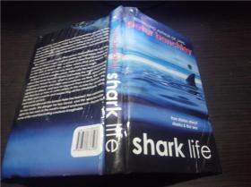 Shark Life: True Stories About Sharks & the Sea 2005年 大32开硬精装原版英法德意等外文书 图片实拍