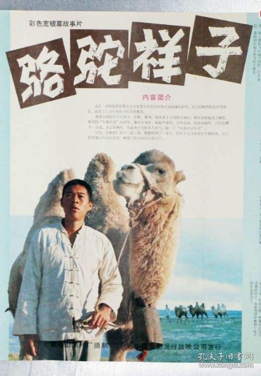 骆驼祥子电影高清图片