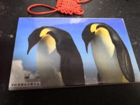 罗红南极帝企鹅作品 明信片（12张）