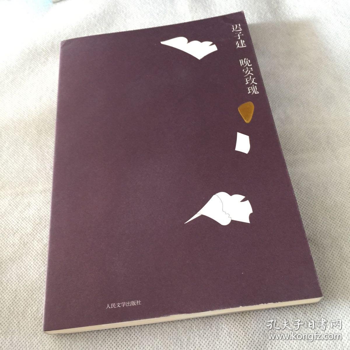 晚安玫瑰:—迟子建最新小说作品