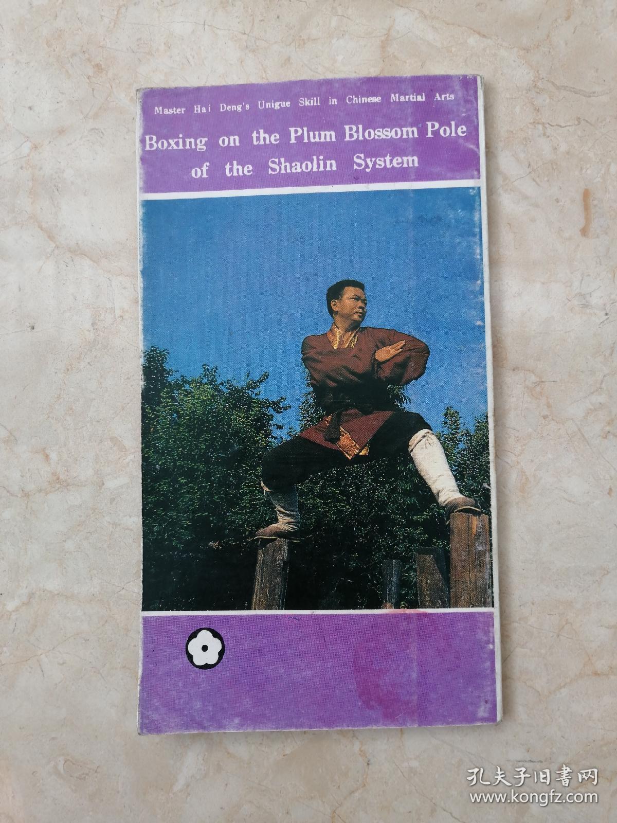 少林梅花桩精拳