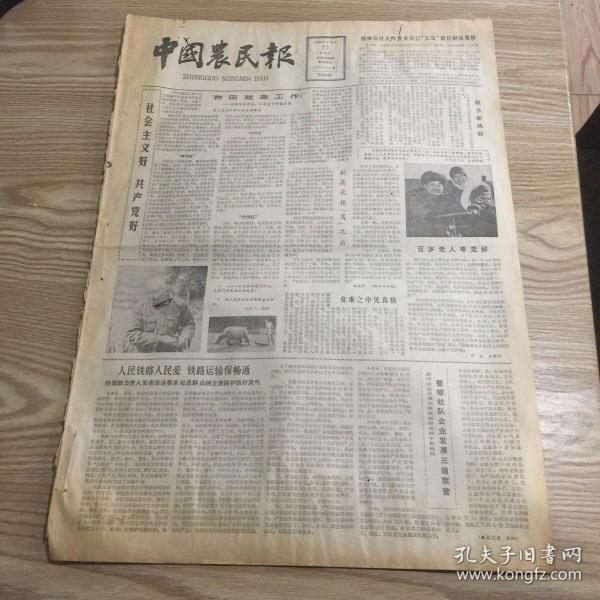 农村人口普查信息简报_信息简报(2)