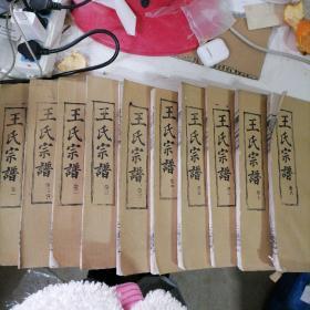 王氏宗譜 三槐堂(1-8卷)10本