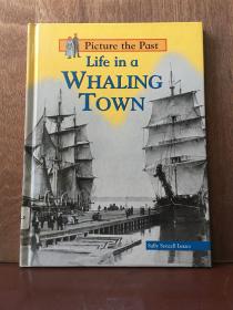 Life In A Whaling Town (Picture The Past Series)