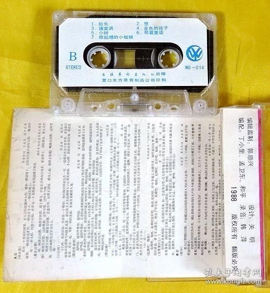 磁带 孙佳星《种太阳》1988