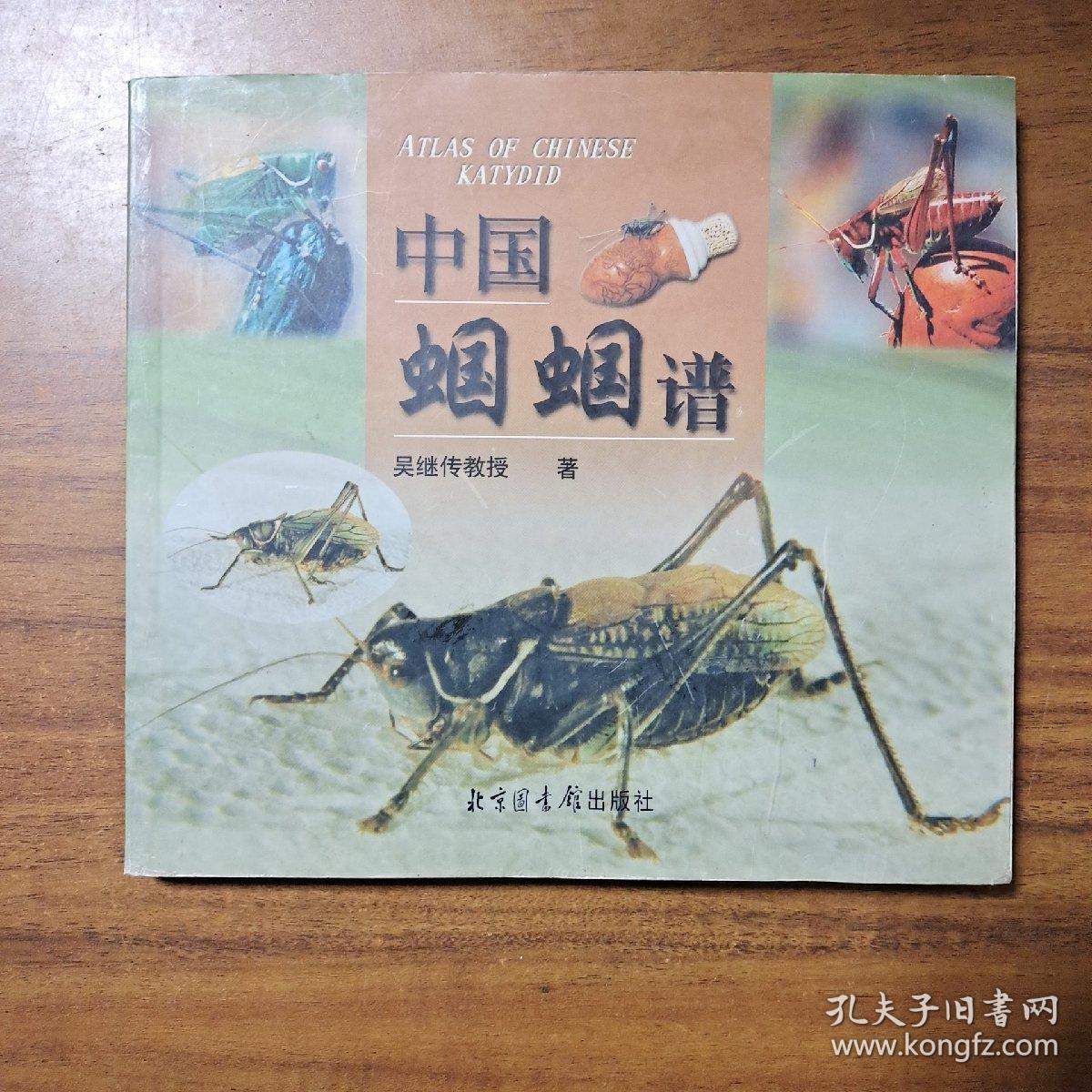 中国蝈蝈谱