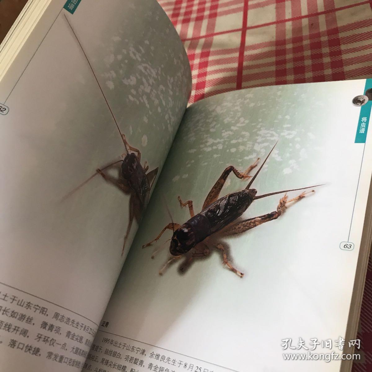 生活情趣丛书蟋蟀将军图谱斗蟋共两本