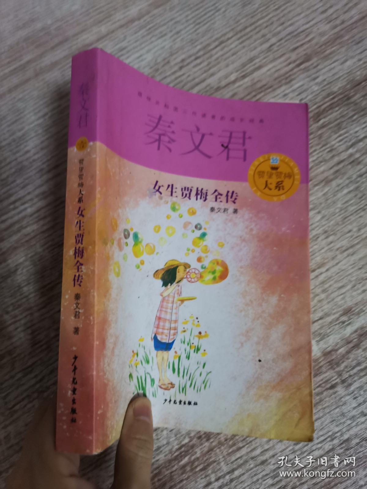 贾里贾梅大系:女生贾梅全传