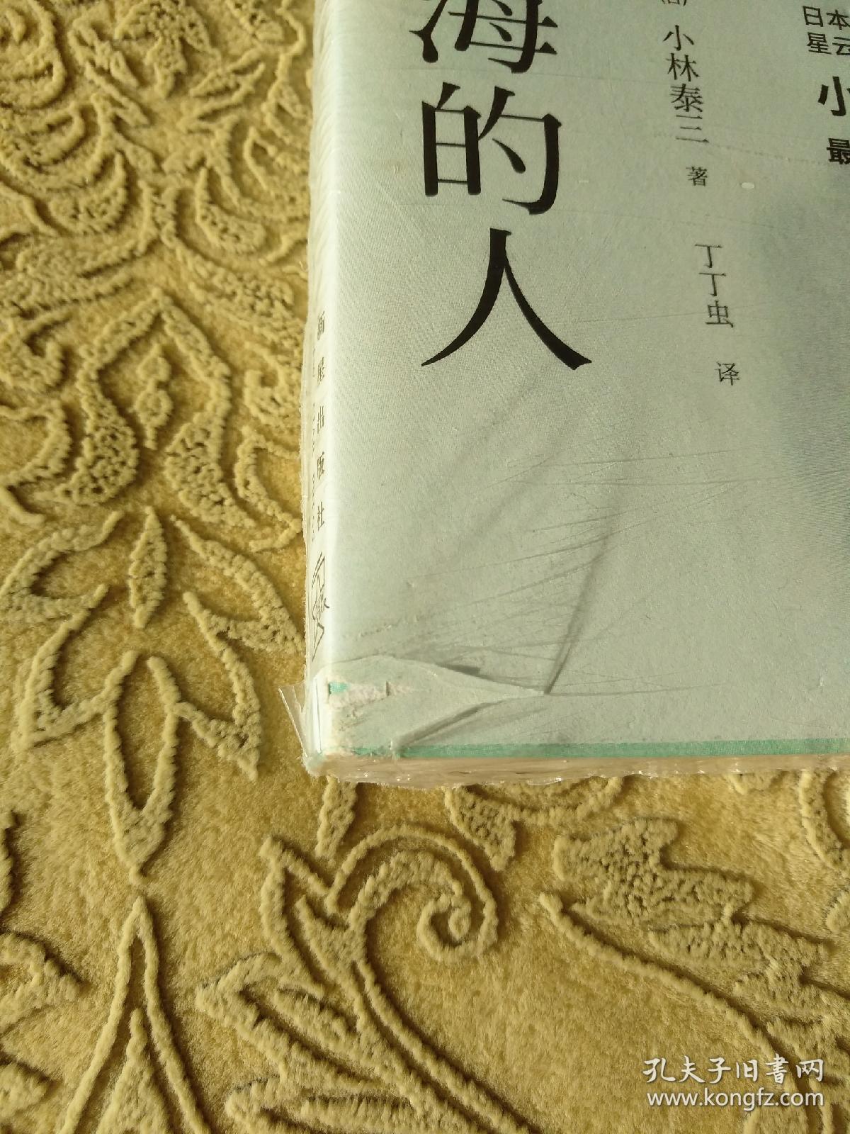 看海的人 孔夫子旧书网 看海的人 孔夫子旧书网