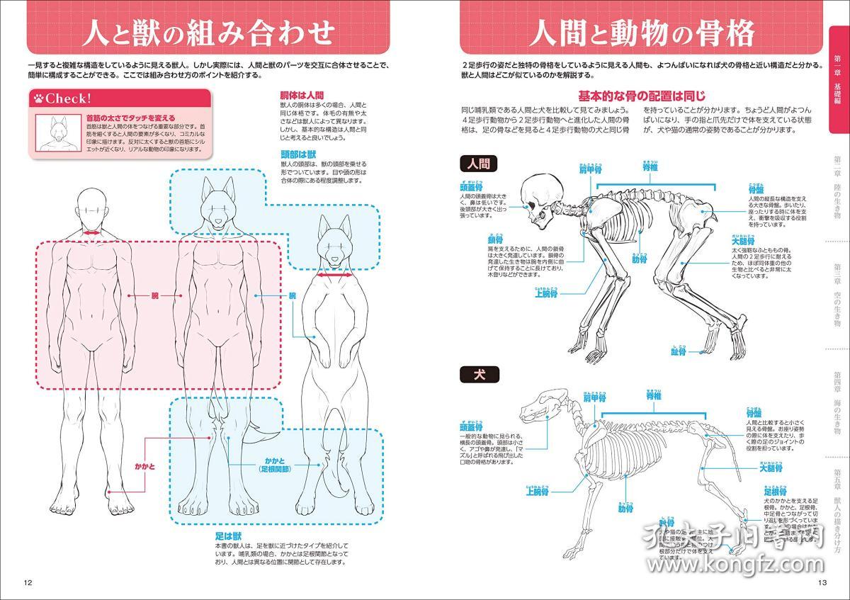 獣人の描き方 超描けるシリーズ 日语 单行本 如何画野兽人 超级绘画系列 孔夫子旧书网
