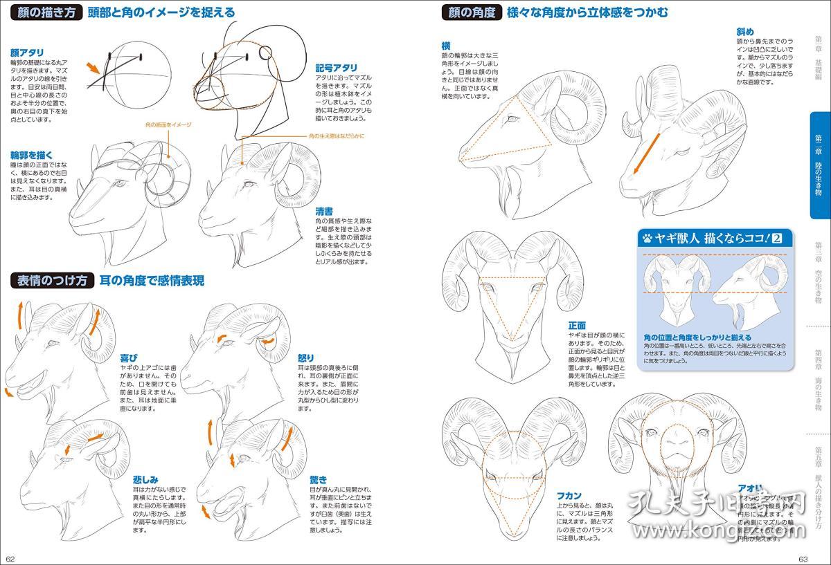 獣人の描き方 超描けるシリーズ 日语 单行本 如何画野兽人 超级绘画系列 孔夫子旧书网