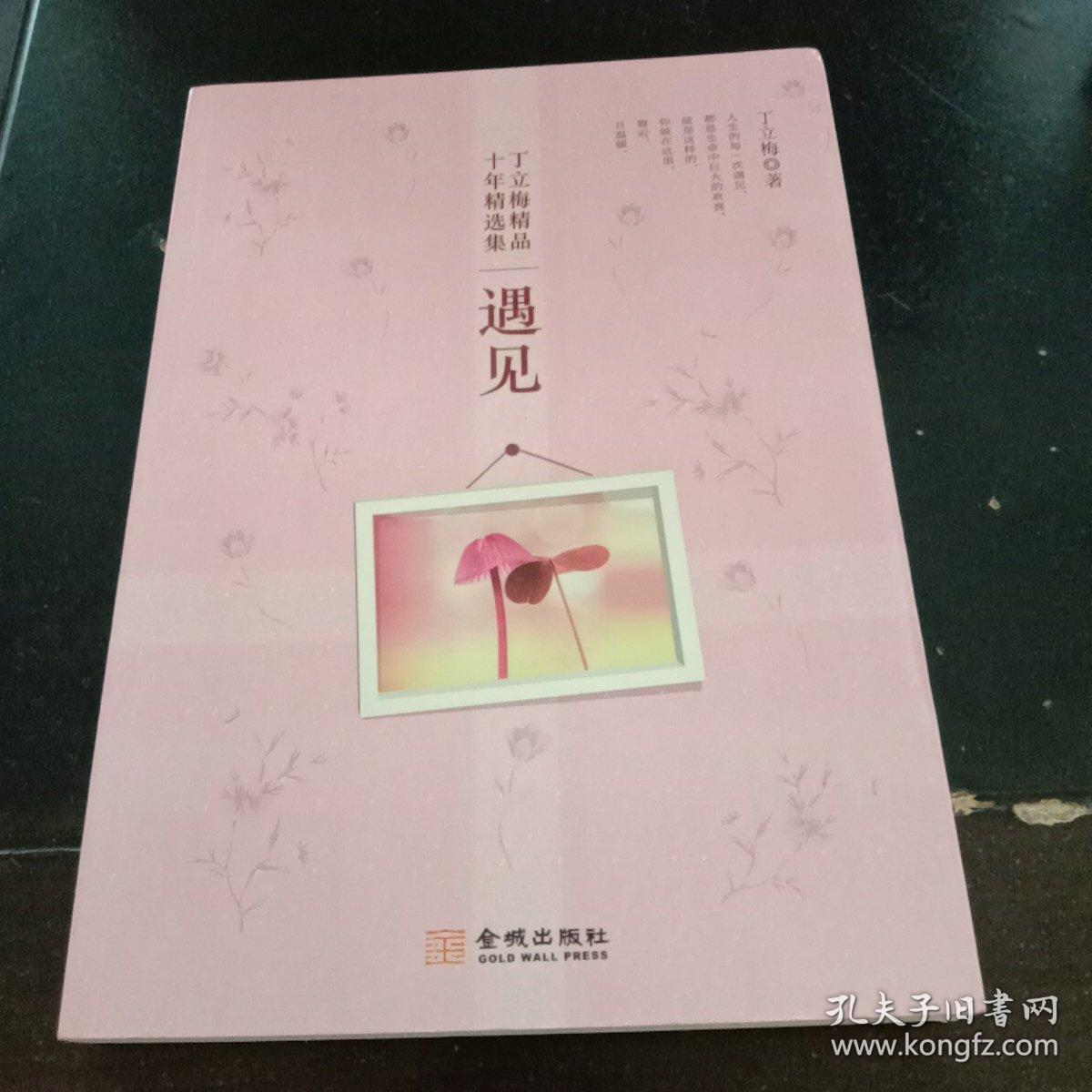 丁立梅作品十年精选集:遇见