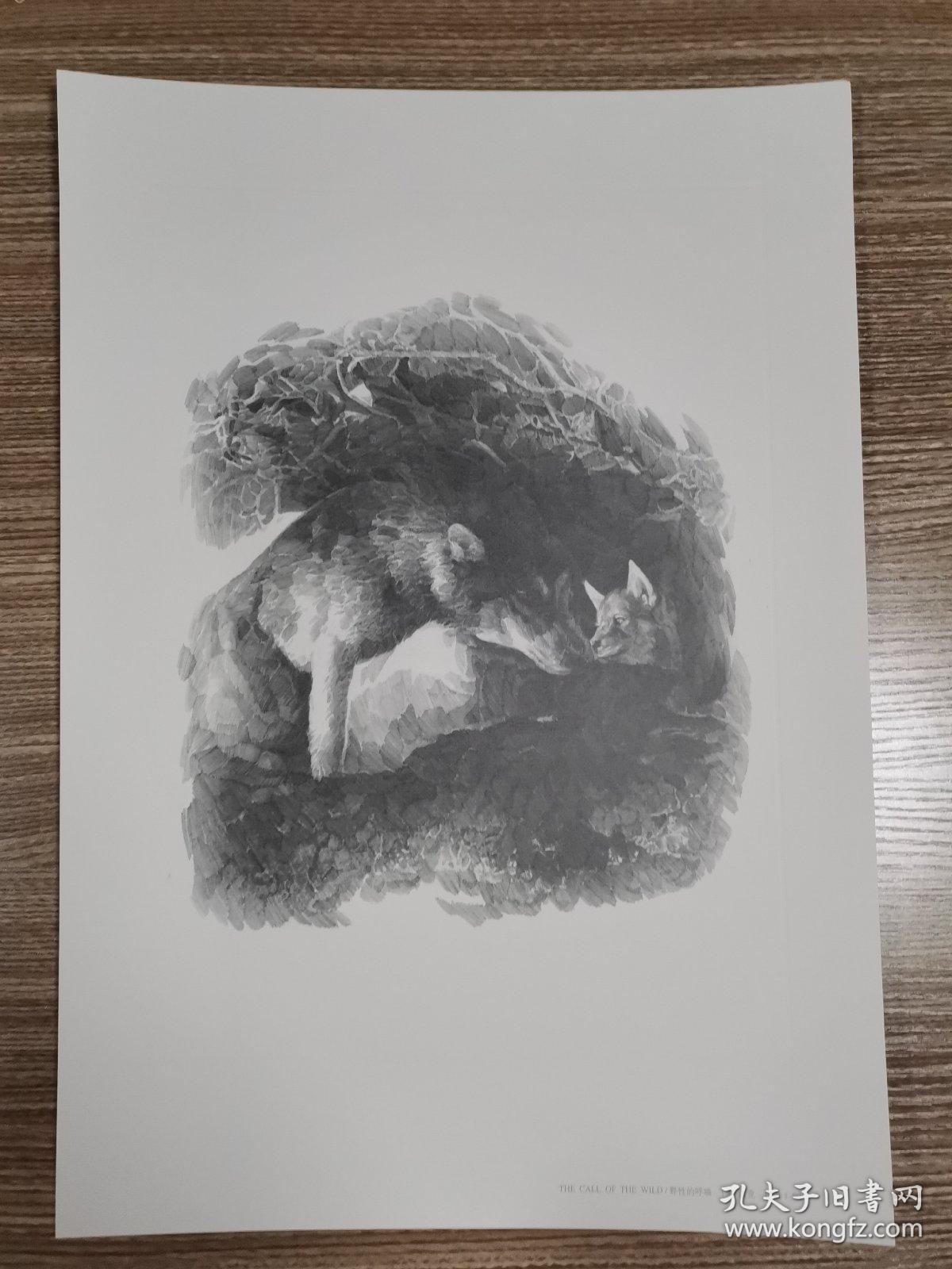 世界名著插图手稿 野性的呼唤1 硬卡纸印刷 孔夫子旧书网