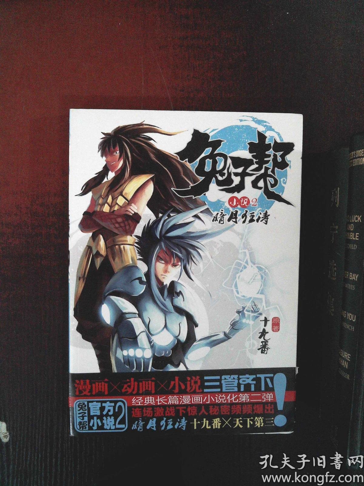 兔子帮小说2:暗月狂涛