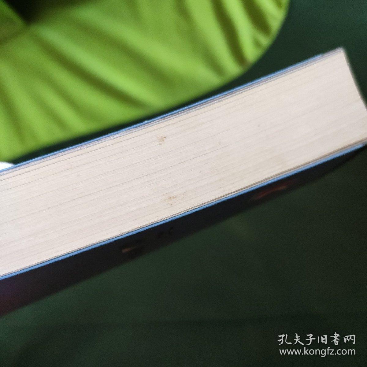 寻求哲人石:炼金术文化史