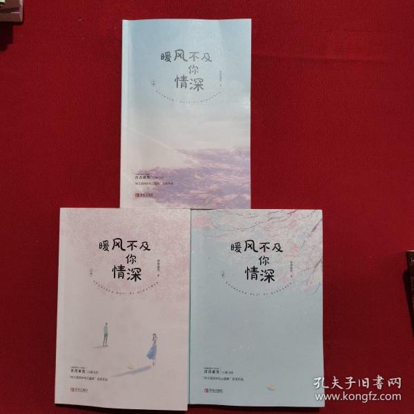 暖风不及你情深(上中下)