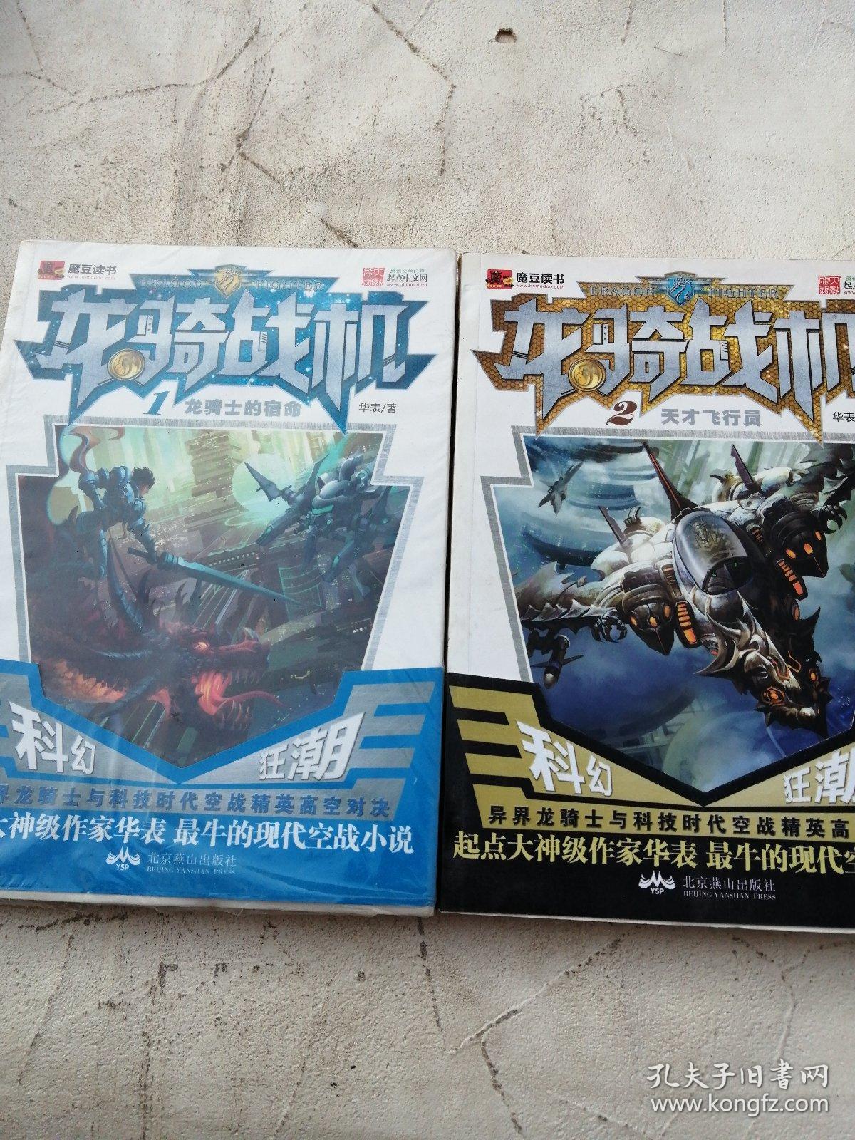 龙骑战机1:龙骑士的宿命 2天才飞行员_华表 著_孔夫子旧书网