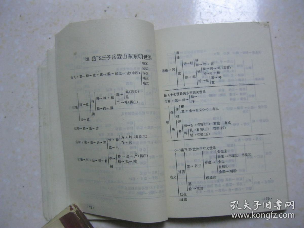 岳氏族谱,岳氏宗谱,岳氏家谱,岳飞后裔.