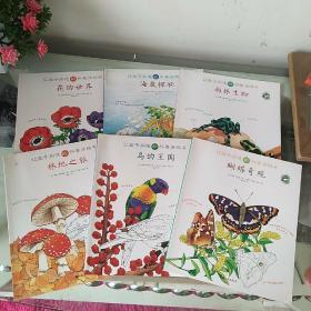 让孩子痴迷的科普涂鸦书 ―― 鸟的王国 、林地之旅 、海底探秘 、蝴蝶奇观 、花的世界 、雨林生物〔正版实物拍摄、六本合售〕