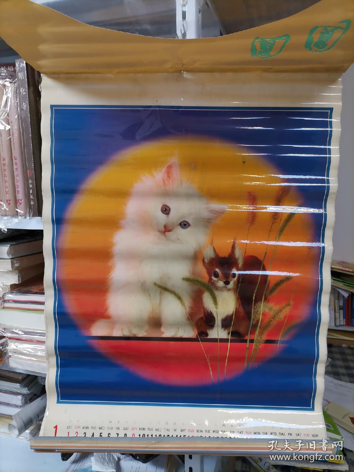 2001年挂历圆圆,13张全