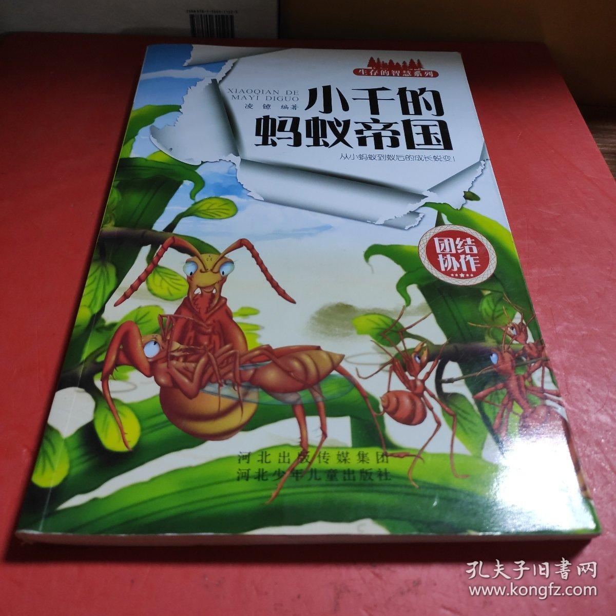 小千的蚂蚁帝国