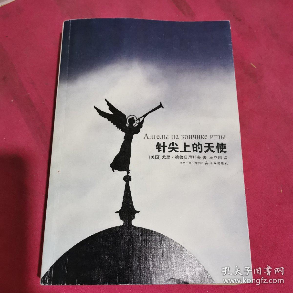 针尖上的天使(美)德鲁日尼科夫 著 【小16开】