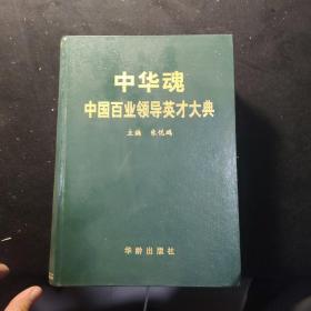 中华魂 中国百业领导英才大典 第一卷