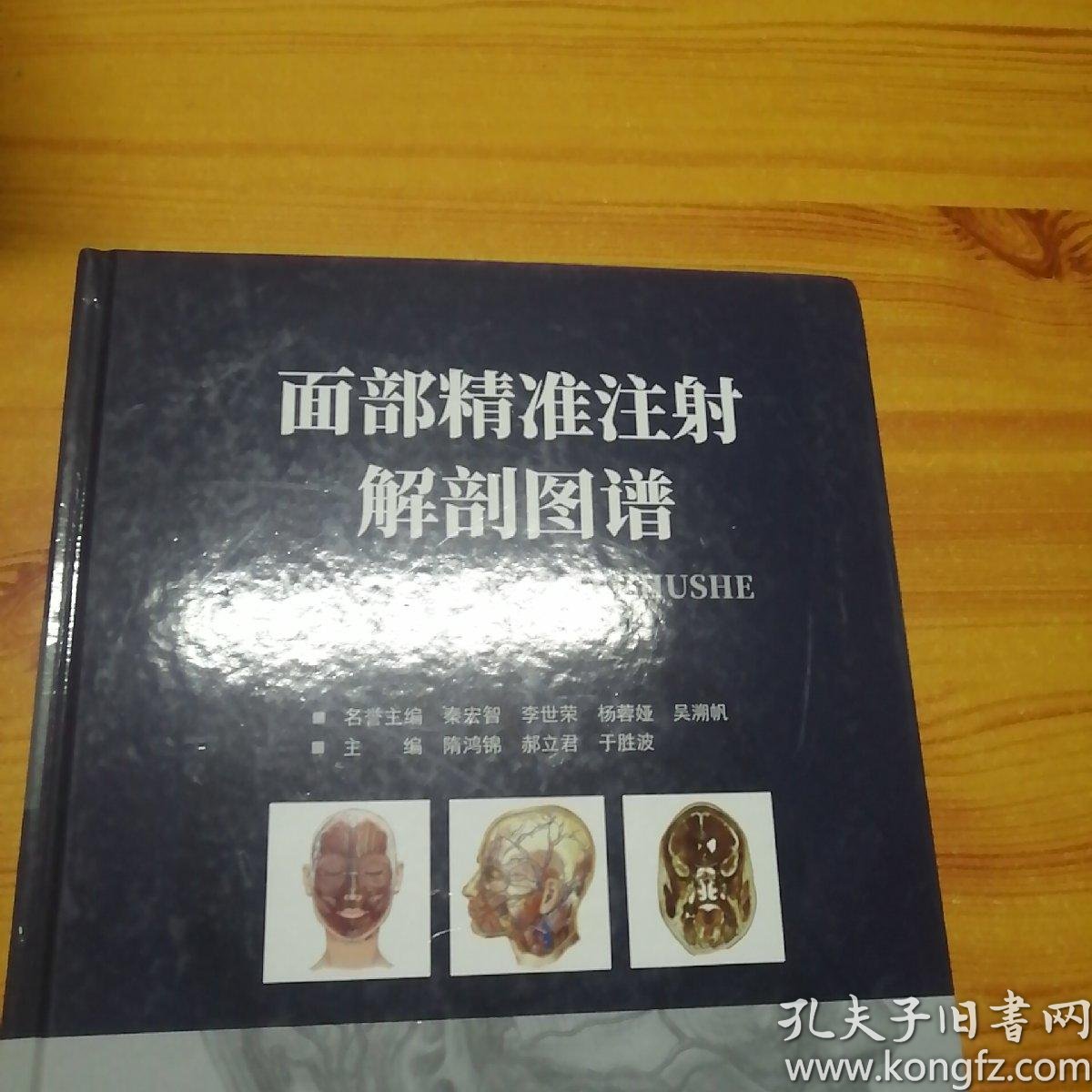 面部精准注射解剖图谱