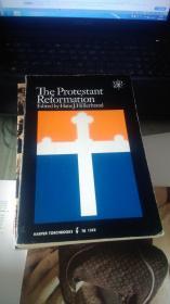 The Protestant Reformation·