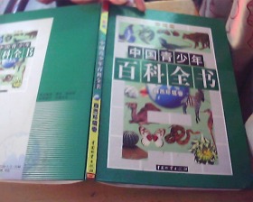 中国青少年百科全书  自然环境 卷 (彩图版）