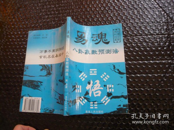 易魂 八卦象数预测 法 黄 鉴 青海人民出版社非馆藏无涂画 一版一印