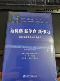 新机遇 新使命 新作为 2020年湖南发展研究报告