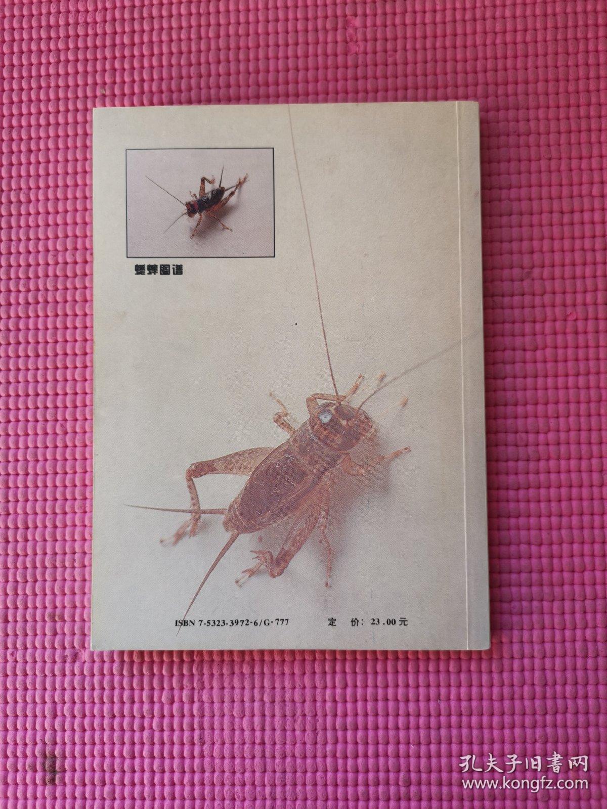 蟋蟀图谱