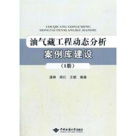 油气藏工程动态分析案例库建设（1册）