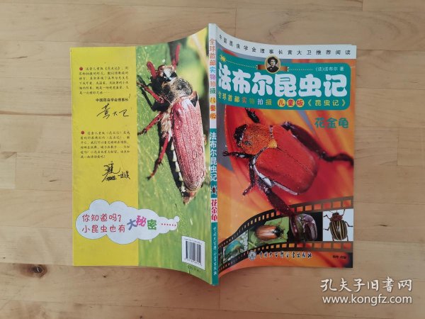 法布尔 昆虫记 花 金龟 儿童版 (法)  法布尔著 中国大百科全书出版社