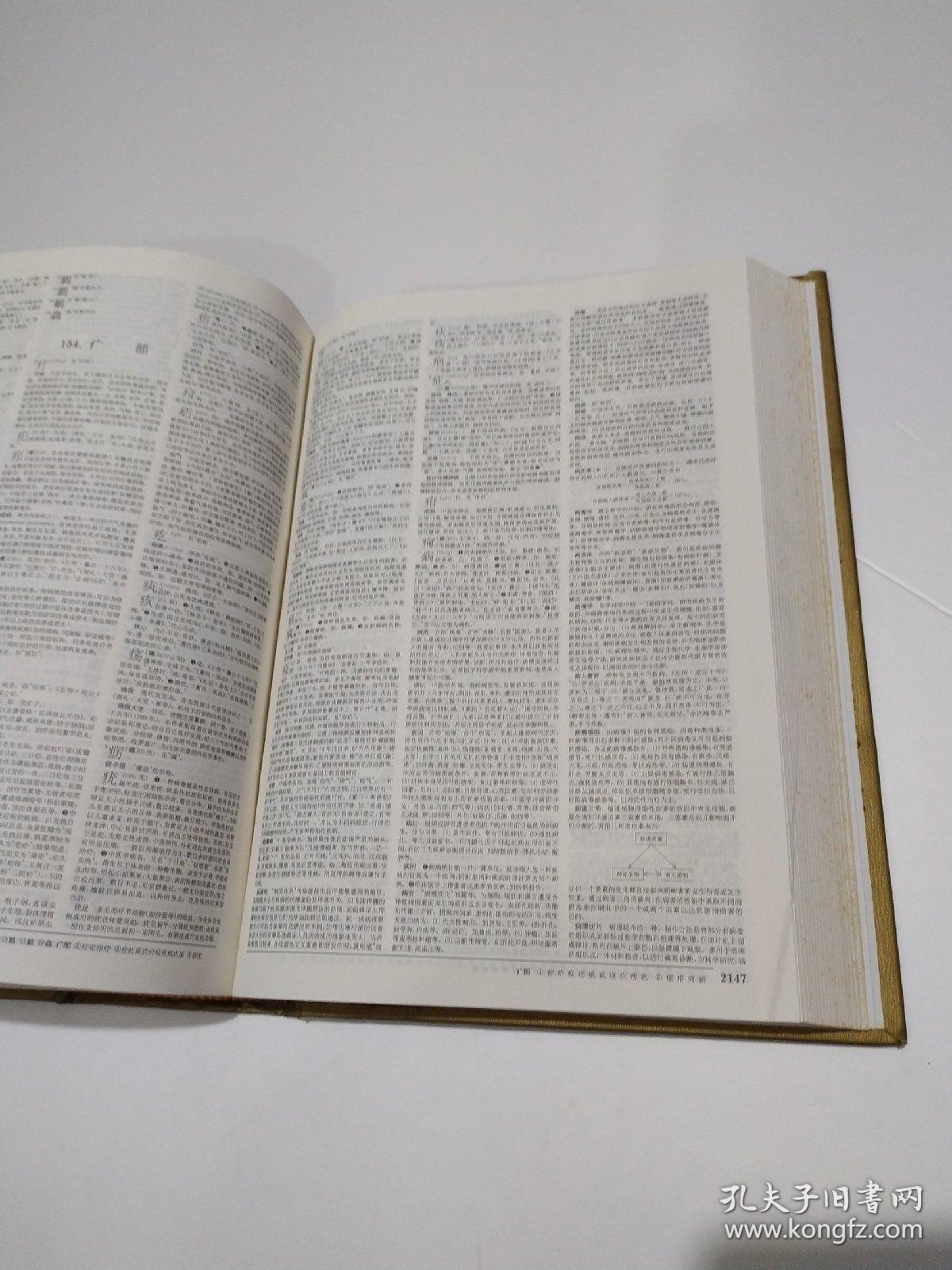 辞海(缩印本)1999年版_辞海编辑委员_孔夫子旧书网