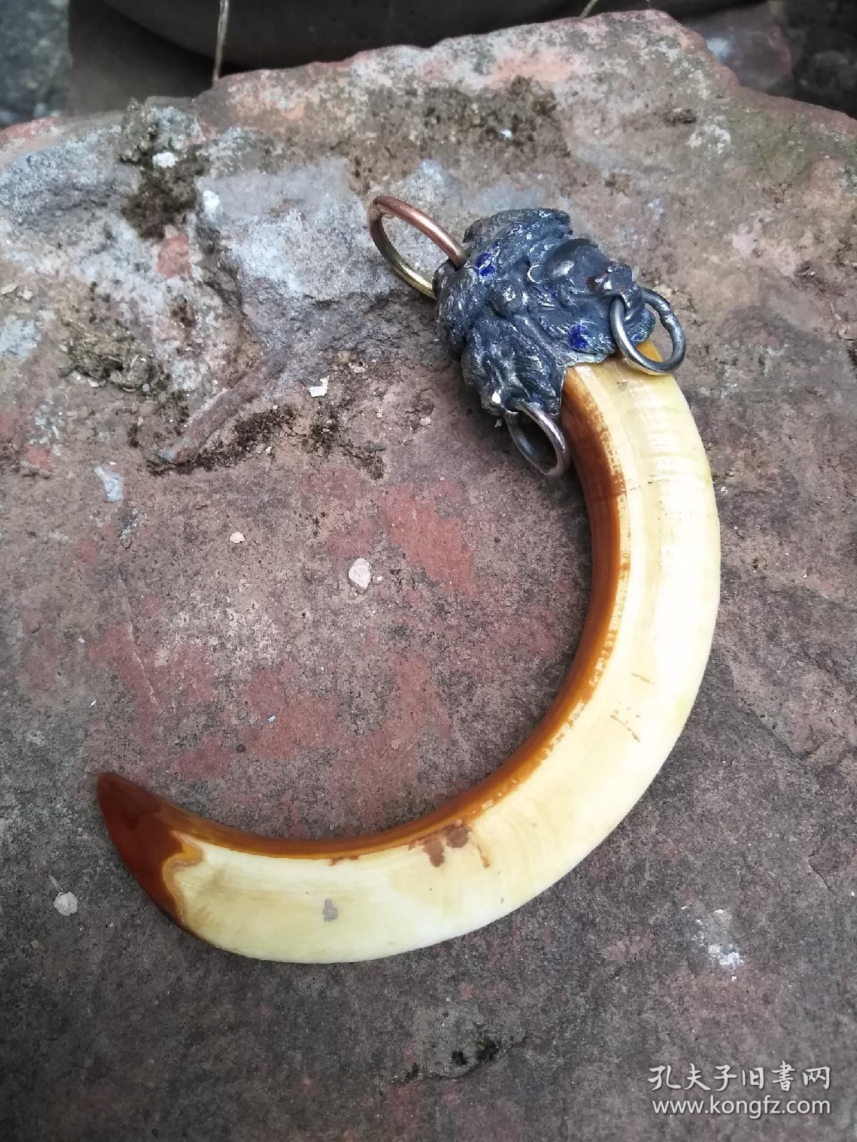 正宗野猪牙吊坠野猪獠牙手把件