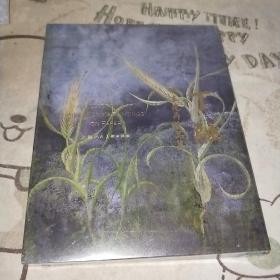 丁融纸本花卉作品集