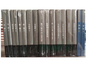 全新正版世界文豪书系 费 陀思妥耶夫斯基全集 全17册 （平装）