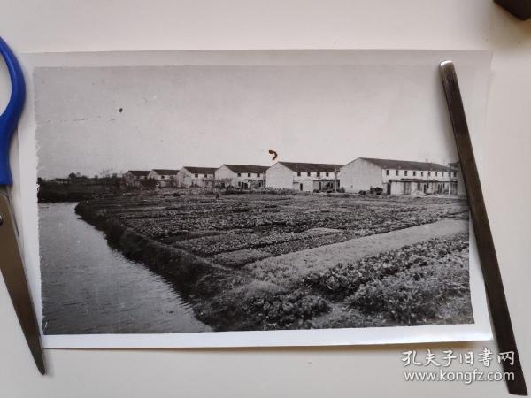 八十年代武进县青龙公社老村改造居民新住宅建设老照片1张(14.2乘22.