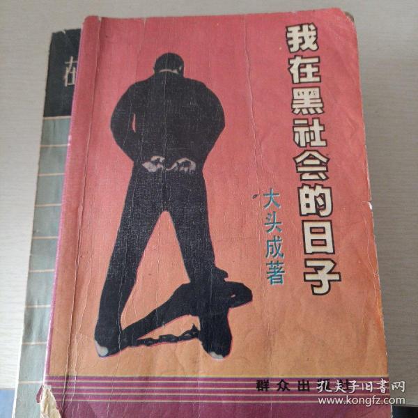 正版现货 二手书没有附赠品 颓少/ 云南人民出版社/ 2010-07/ 平装