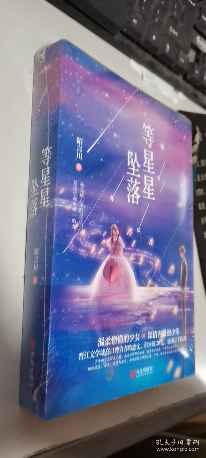 等星星坠落上下陌言川著一个从男主视角描写的暗恋故事漫漫十二年的