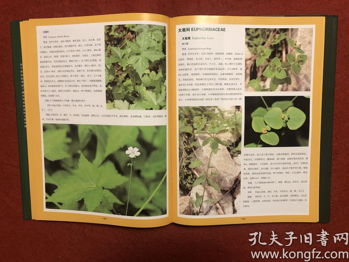丹东地区野生动植物原色图鉴 植物分册(一)_曲再春_孔夫子旧书网