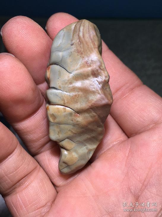 阿拉善彩玉牙石 翩翩起舞