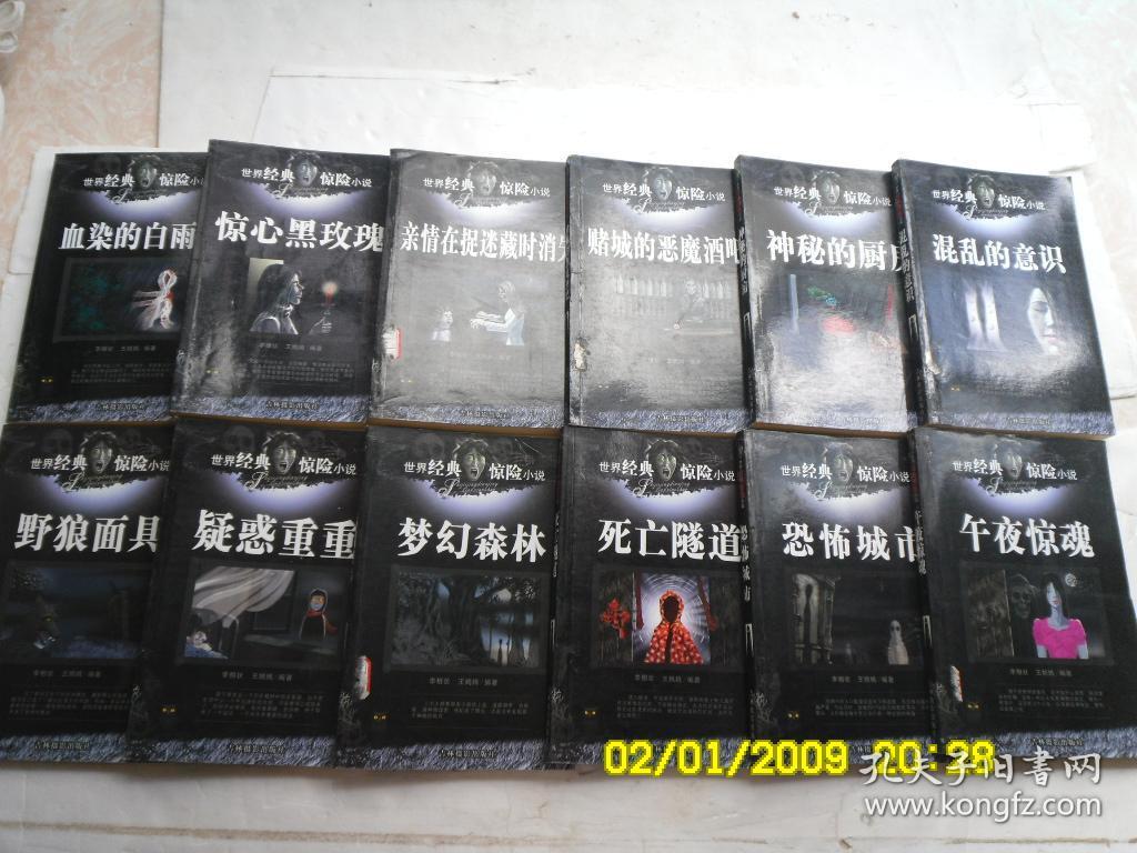 恐怖小说惊魂隧道实体书神秘惊魂系列世界经典惊险小说午夜松林恐怖