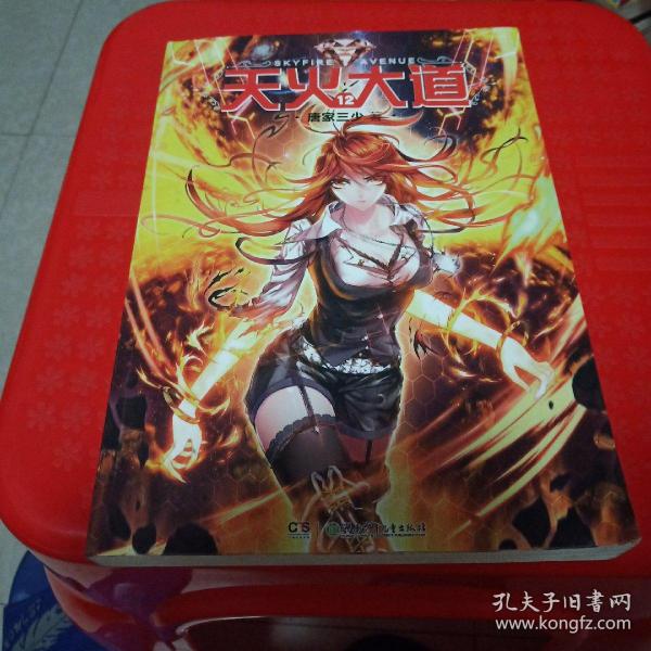 现货 天火大道12 唐家三少/作品 玄幻小说 正版书籍 爱格 赠送《龙王