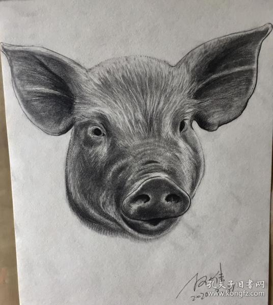 猪素描原画作品